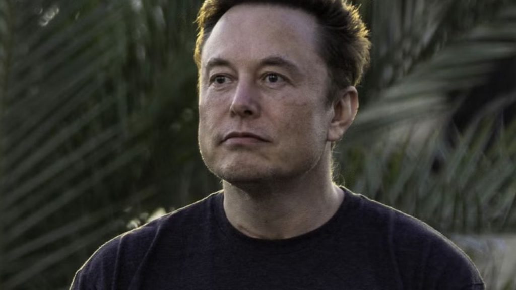 elon (3)