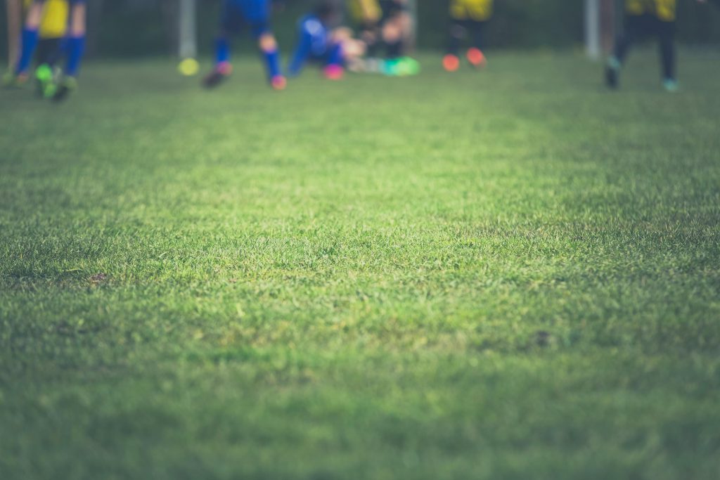 pexels-markusspiske-104675