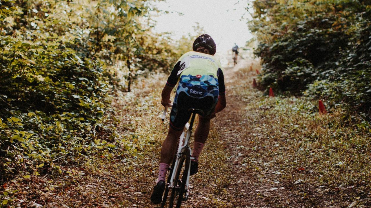 A mund të ndihmojë të qenit më aktiv në moshën e mesme në parandalimin e sëmundjes së Alzheimerit?