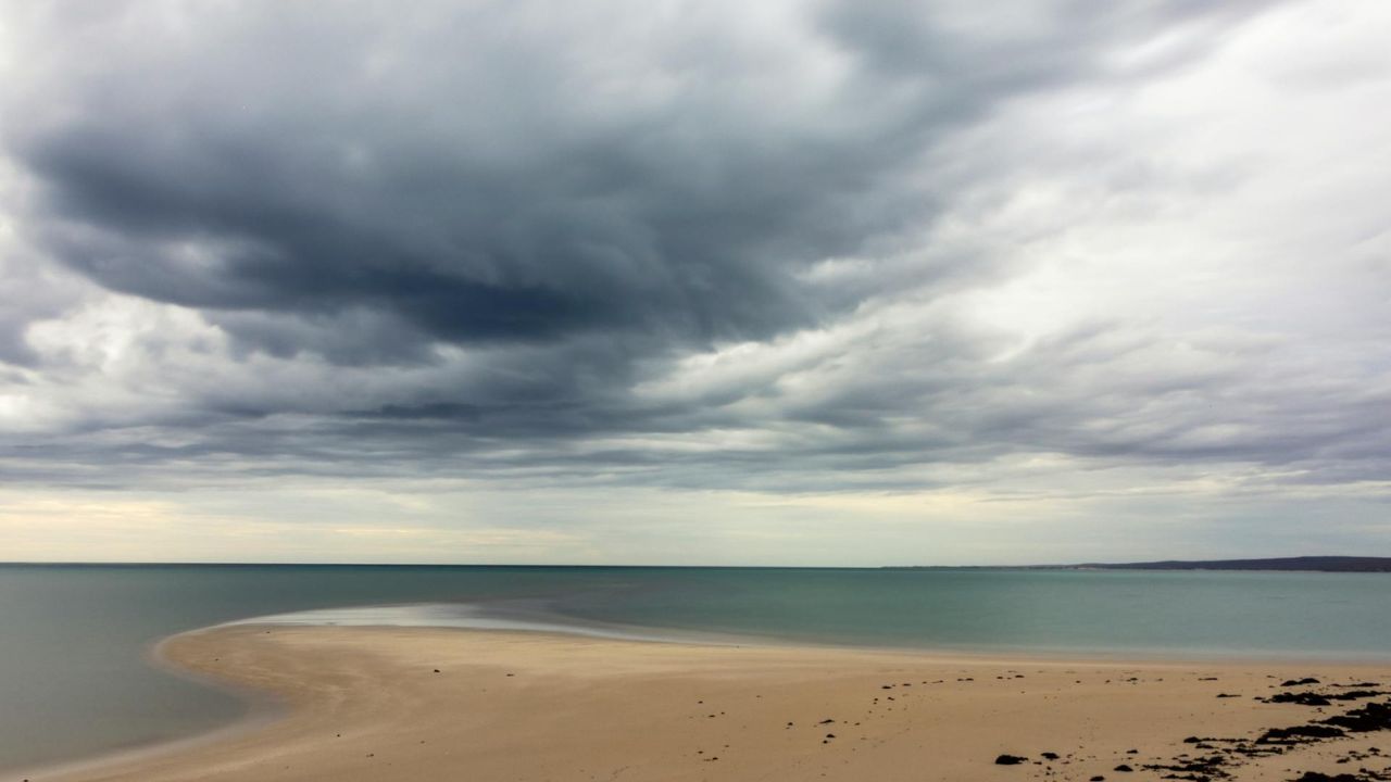 Parashikimi motit, 29 korrik 2025