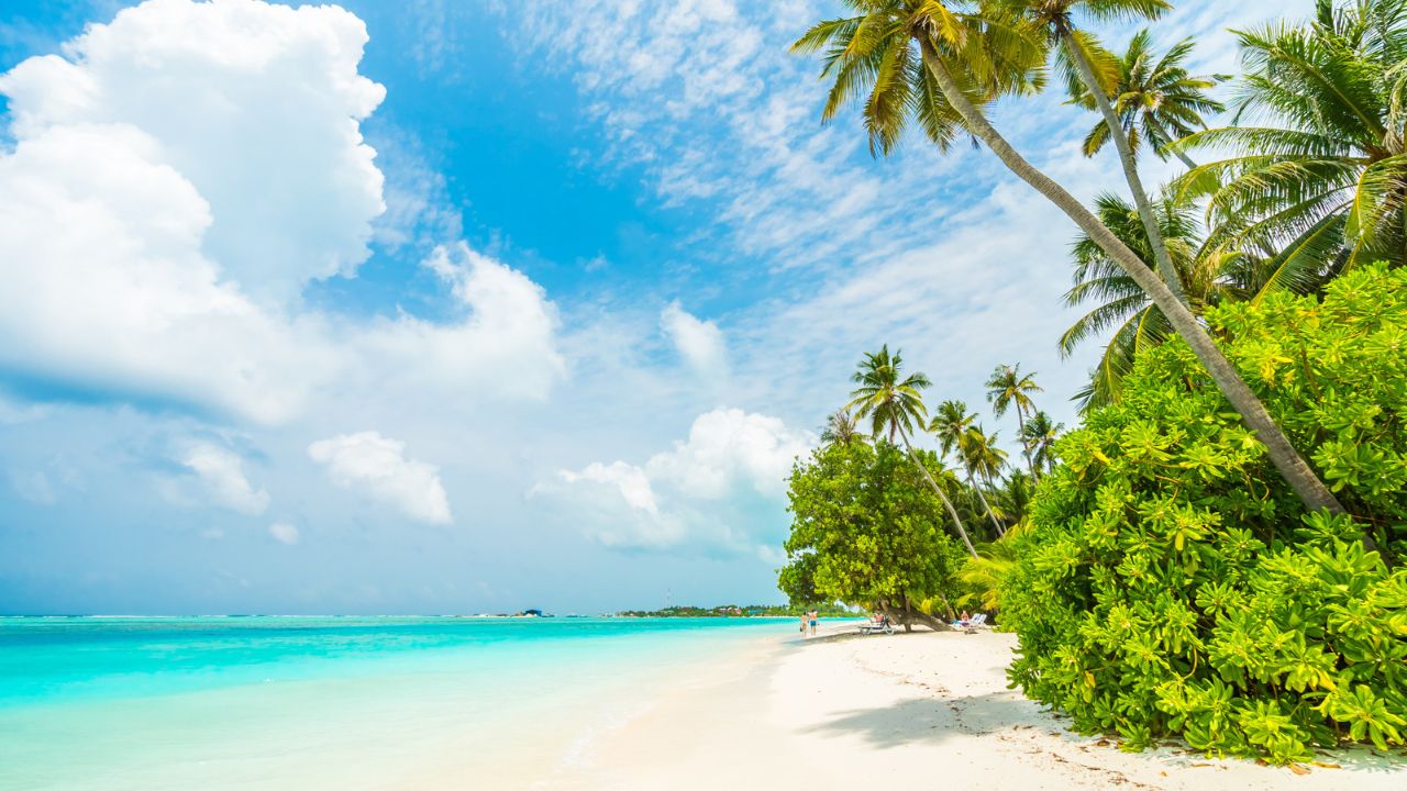 Parashikimi motit, 30 korrik 2025