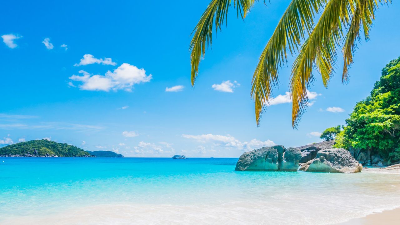 Parashikimi motit, 28 korrik 2025