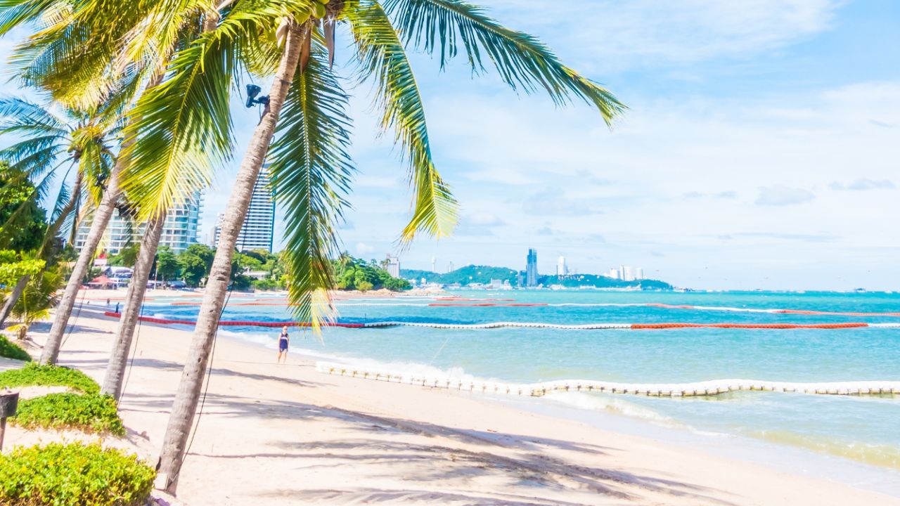 Parashikimi motit, 4 gusht 2025