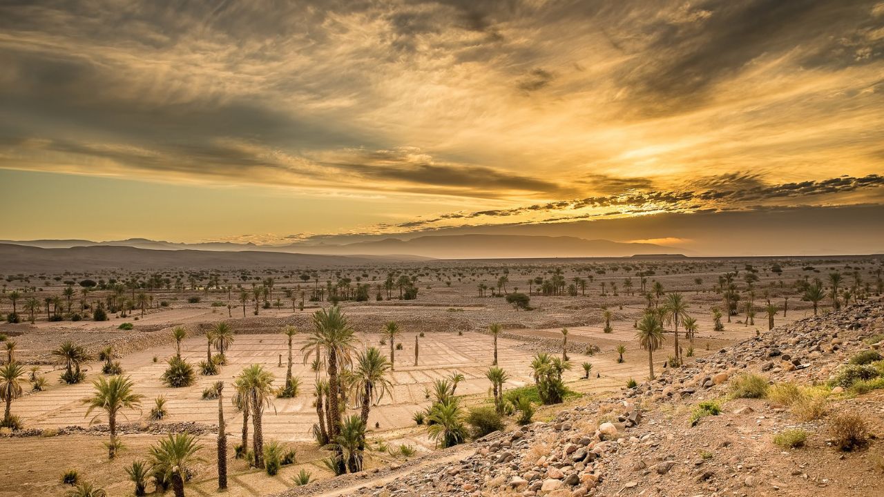 Qyteti i shkretëtirës i zbuluar rishtazi që po rishkruan historinë e Amerikanëve