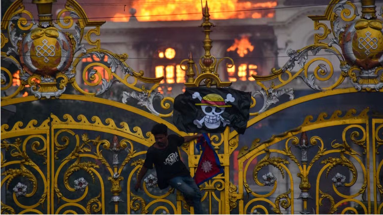 Pse ky flamur pirat i animuar është bërë pjesë e protestave të udhëhequra nga Gjenerata Z në mbarë botën