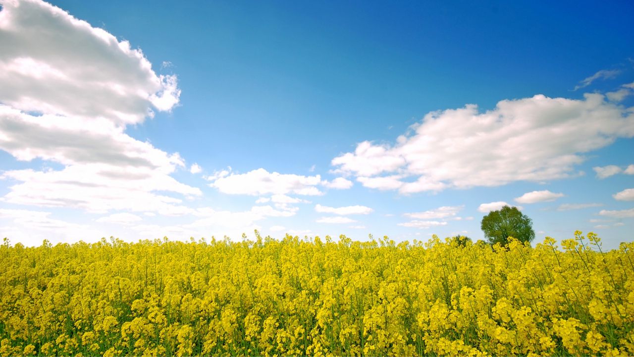 Parashikimi motit, 20 shtator 2025