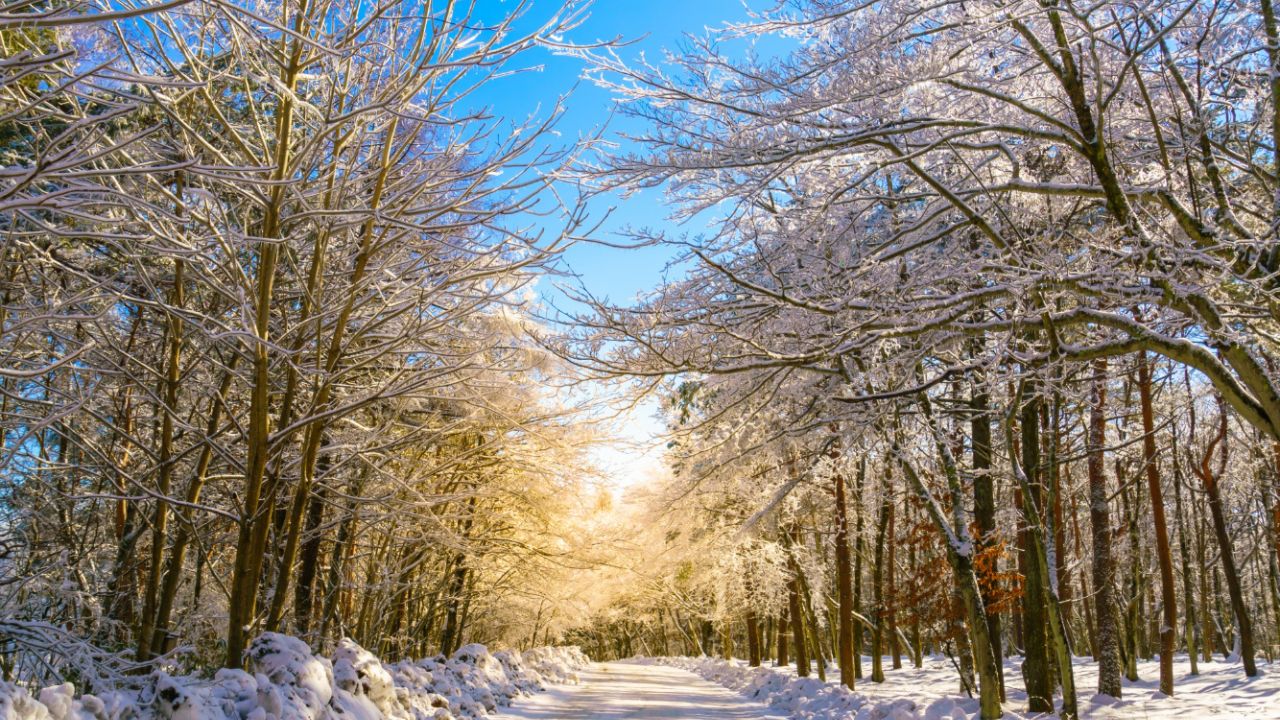 Parashikimi motit, 3 tetor 2025