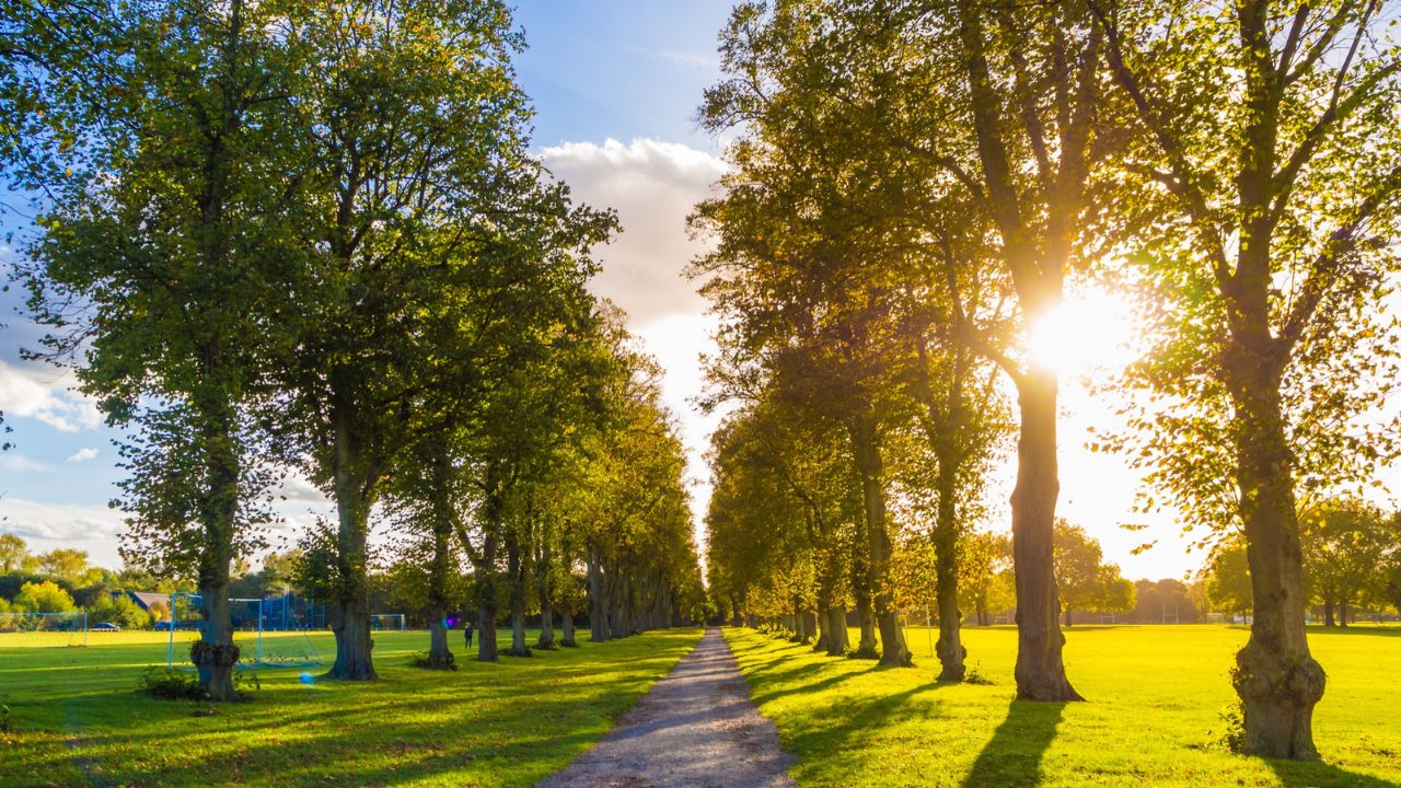 Parashikimi motit, 14 tetor 2025