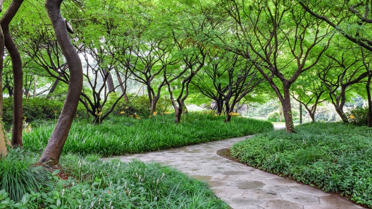 8 qytete të mëdha me hapësira të gjelbra të jashtëzakonshme