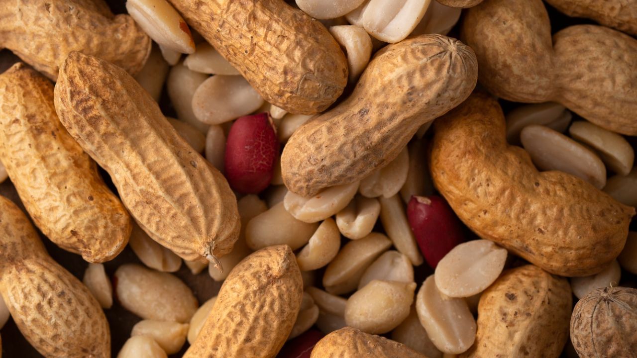 Në çfarë moshe duhet t’u jepni fëmijëve kikirikë për të shmangur alergjitë?