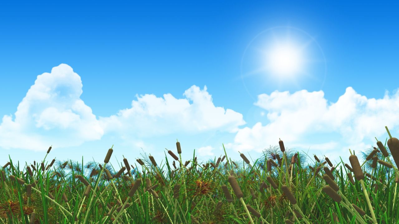 Parashikimi motit, 11 tetor 2025