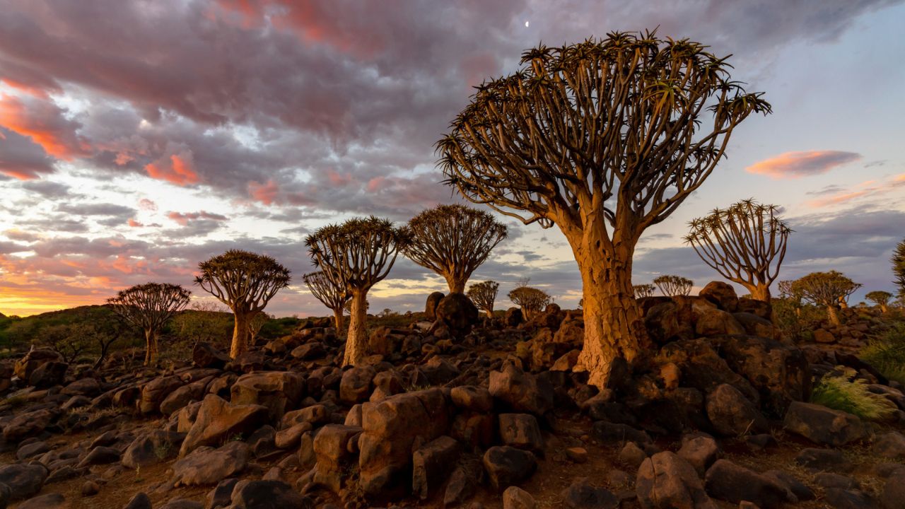 Vende më të çuditshme nëpër botë