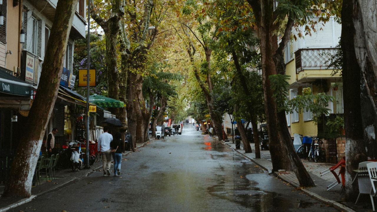 Parashikimi motit, 4 nentor 2025