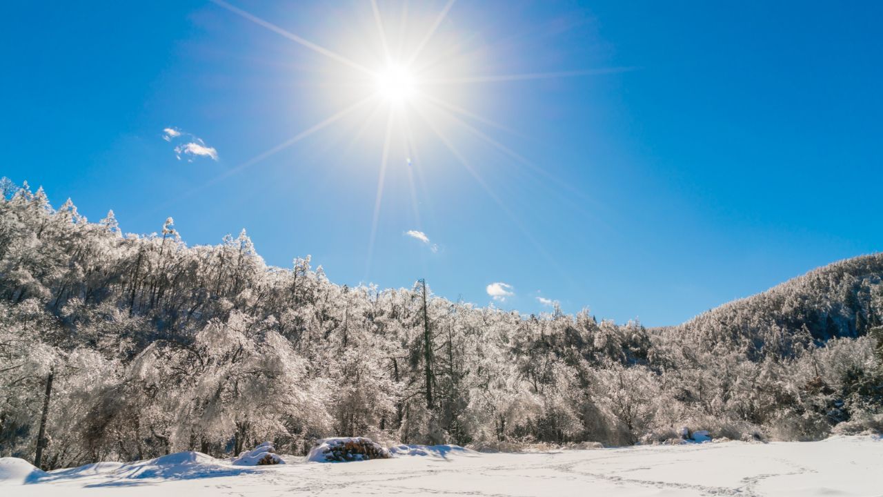 Parashikimi motit, 13 nentor 2025