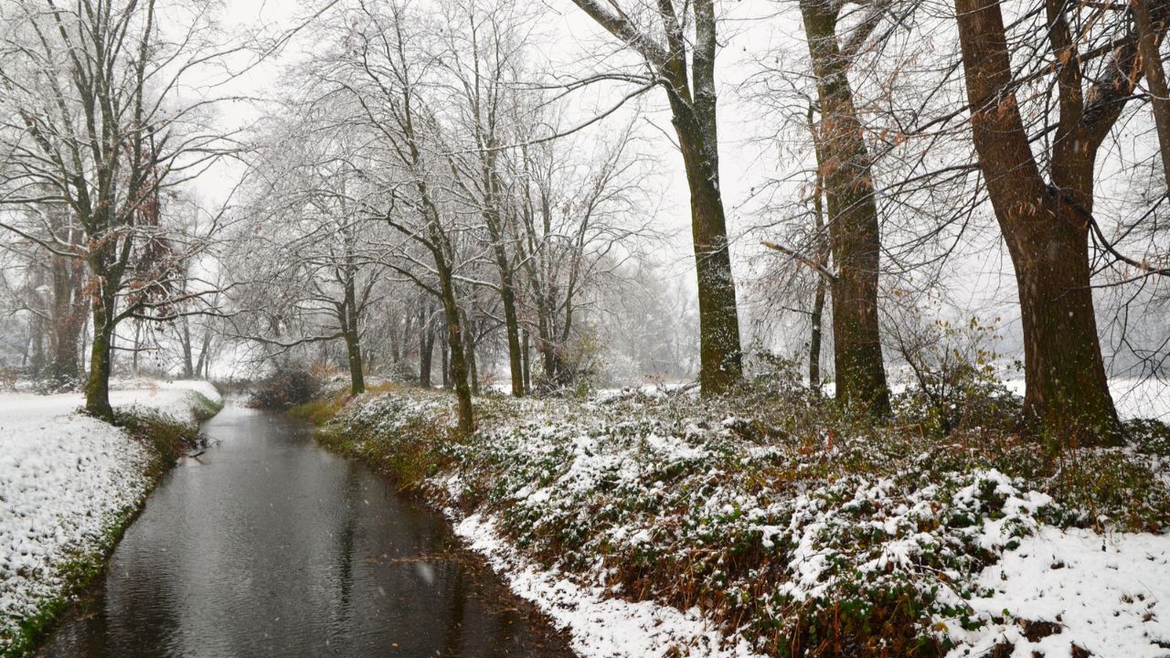 Parashikimi motit, 20 nentor 2025