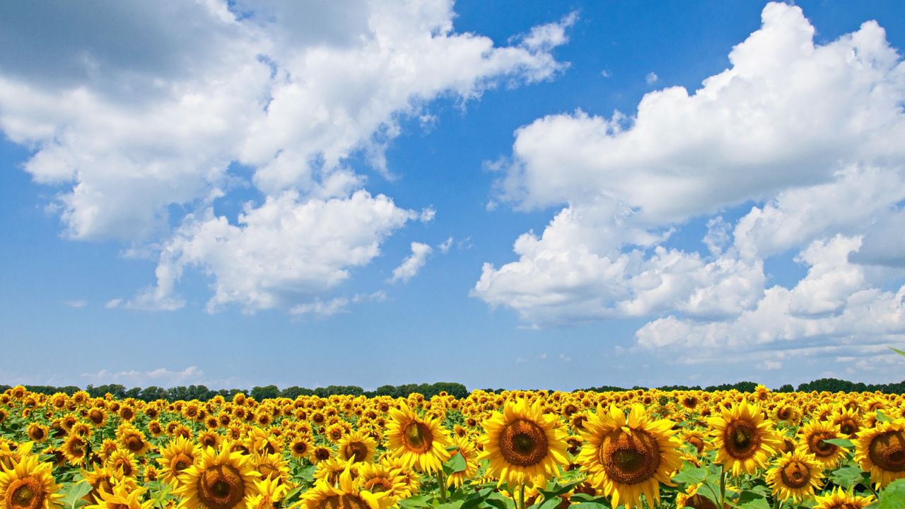 Parashikimi motit, 9 dhjetor 2025