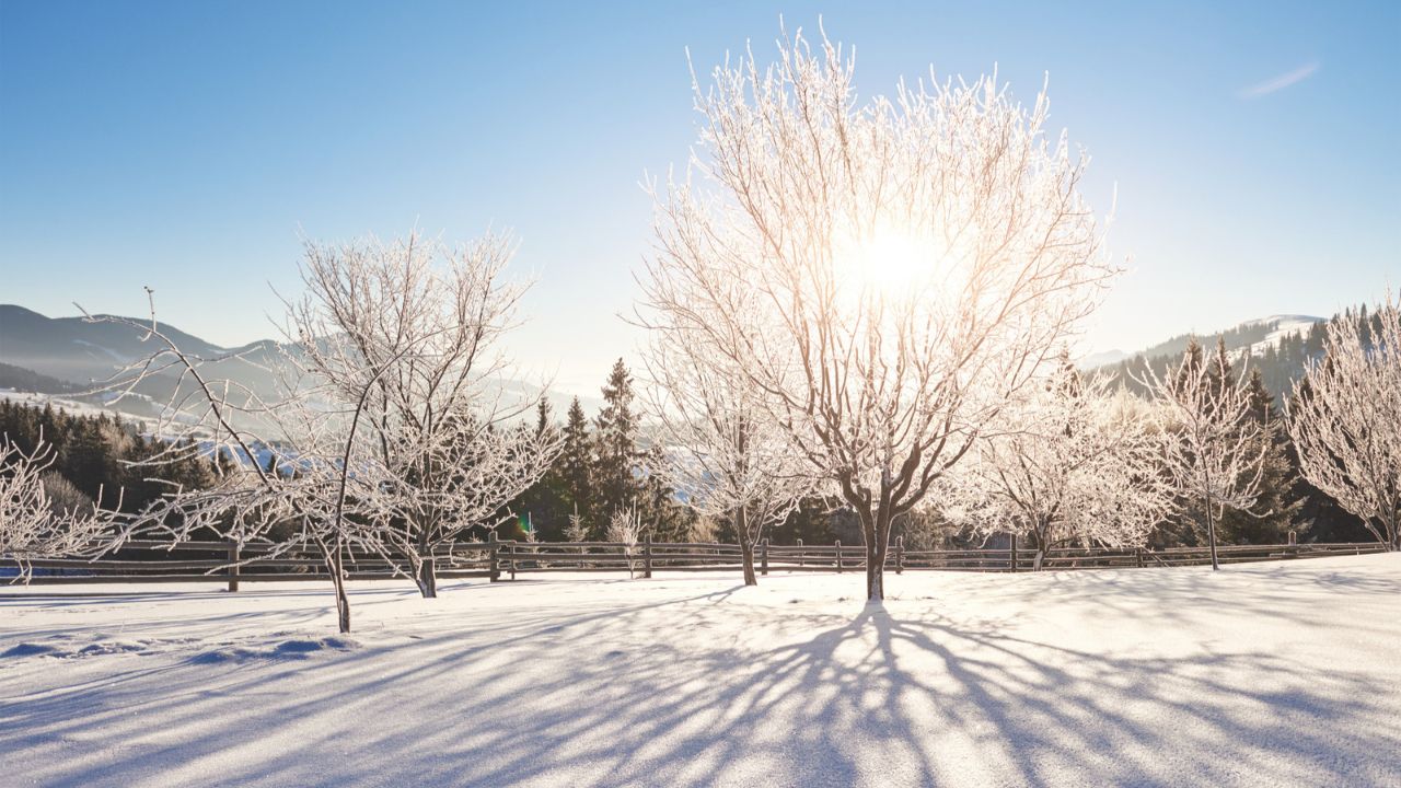 Parashikimi motit, 19 dhjetor 2025