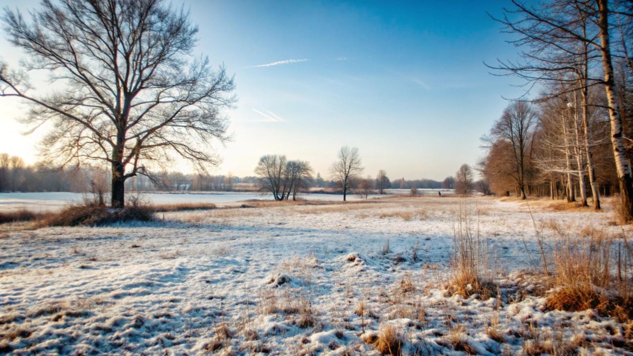 Parashikimi motit, 20 dhjetor 2025