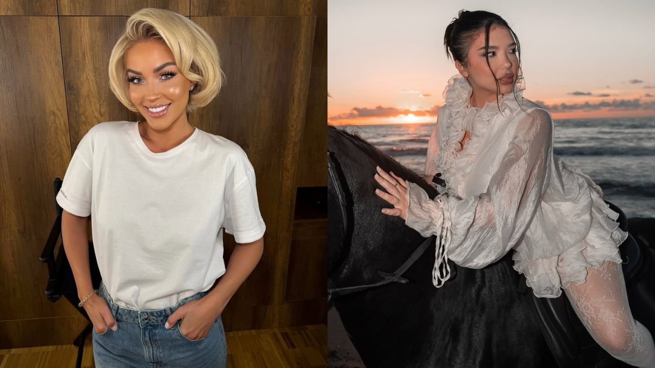 Plas keq mes Dolces dhe Albës: Mos më prek se të ngjis në mur