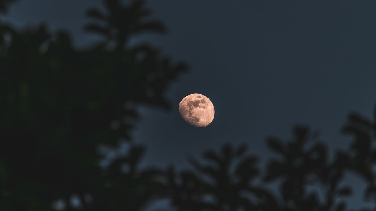 Shiu i parë i meteorëve dhe përplasja e superhënës në qiellin e janarit