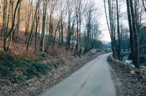 moti - 2026-01-07T090246.457