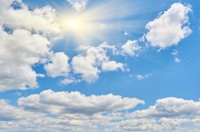 moti - 2026-01-19T091107.477