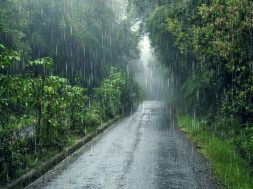 moti - 2026-01-21T091818.863