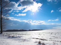 moti - 2026-01-22T091336.281