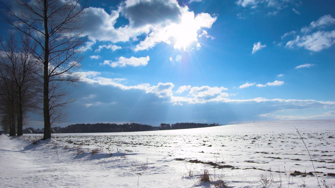 Parashikimi motit, 22 janar 2026