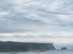 moti - 2026-01-26T095230.918