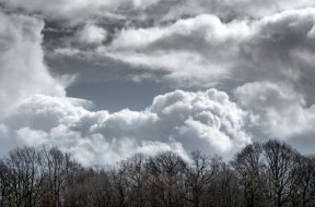 moti - 2026-01-28T091558.844