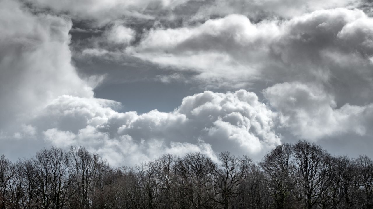 Parashikimi motit, 28 janar 2026