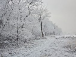 moti - 2026-01-29T093124.526