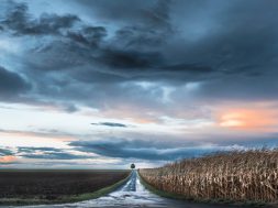 moti - 2026-01-30T091153.573