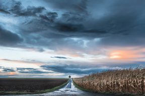 moti - 2026-01-30T091153.573