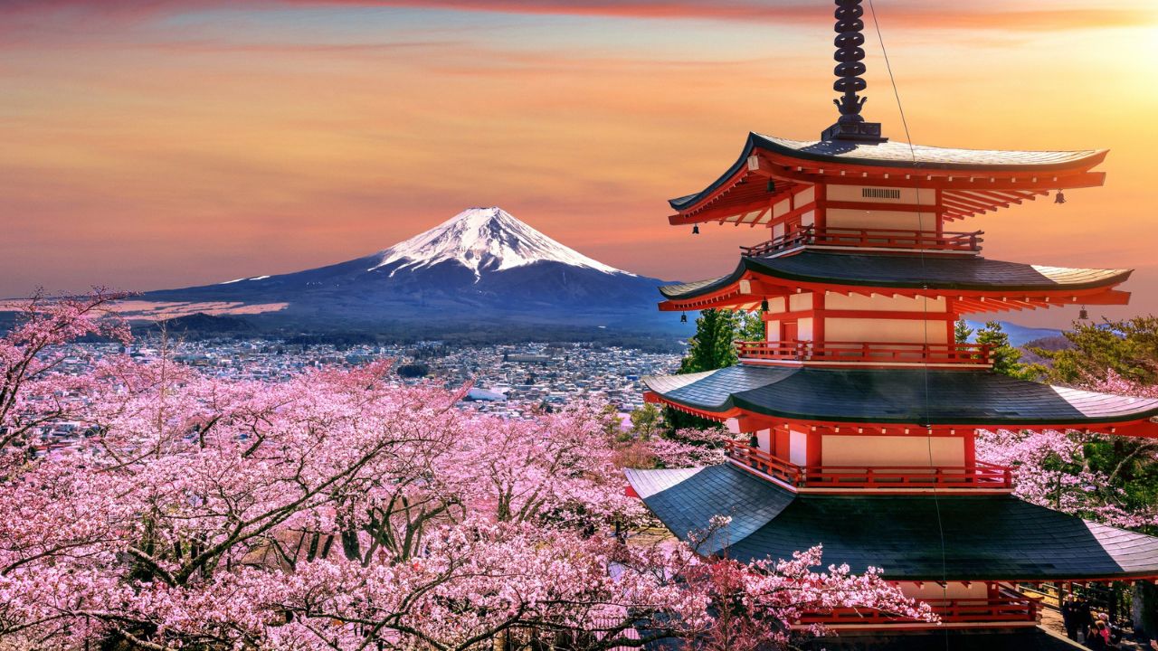 Festivali i lulëzimit të qershisë në malin Fuji anulohet për shkak të sjelljes së turistëve