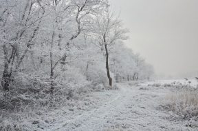 moti - 2026-02-04T092712.420