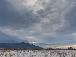 moti - 2026-02-05T103311.967