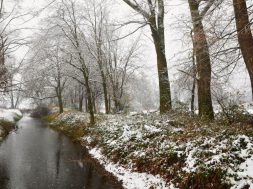 moti - 2026-02-06T114339.165