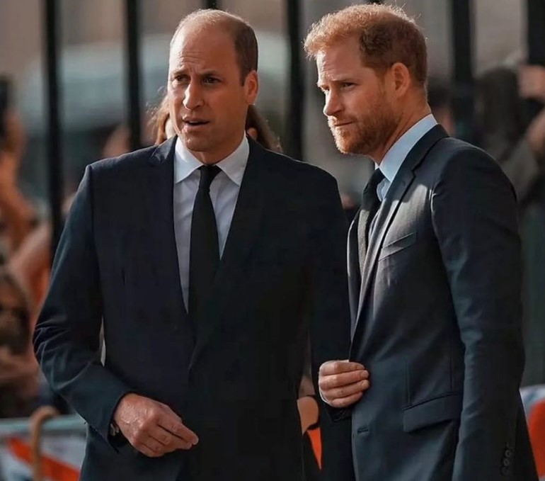 Familja mbretërore është ‘e lumtur të gënjejë për të mbrojtur’ William