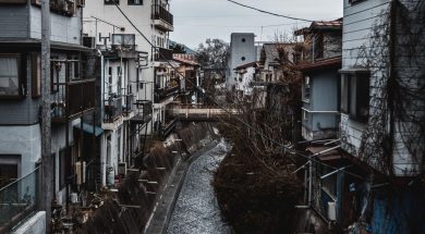 qytet (5)