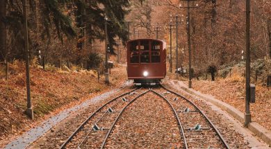 tren (2)