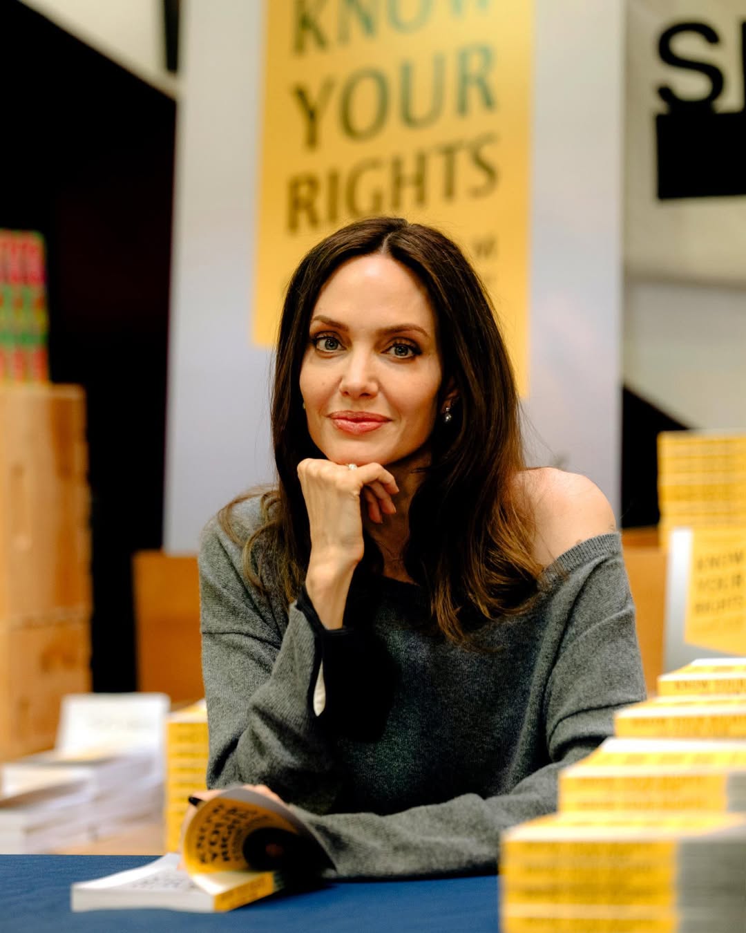 Fitore për Angelina Jolie në përballjen ligjore me Brad Pitt për Château Miraval