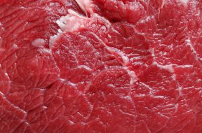 Closeup macro of fresh beef meat. Food concept